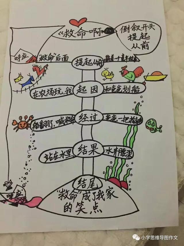 思维导图构思作文优秀作品展示