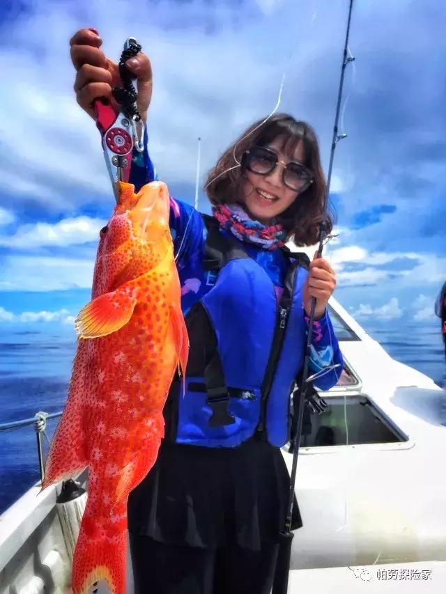 帕劳海钓|你永远不知道会钓上什么鱼