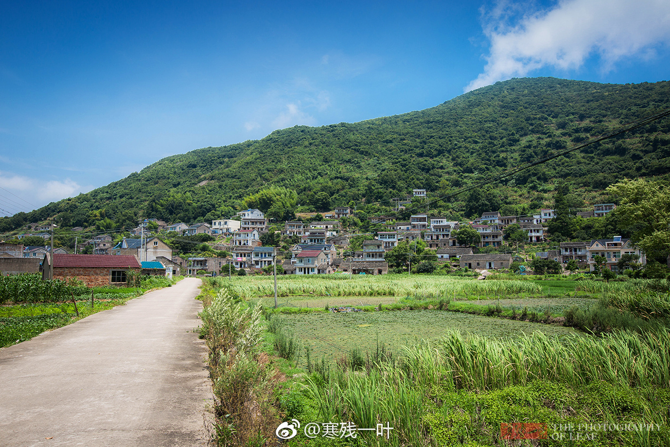 随着时代的发展,社会的进步,如今人们生活水平的提高|高塘岛乡|长寿之