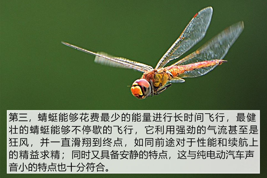 1, 蜻蜓的特点与前途汽车的特点相契合为什么以蜻蜓作为品牌logo?