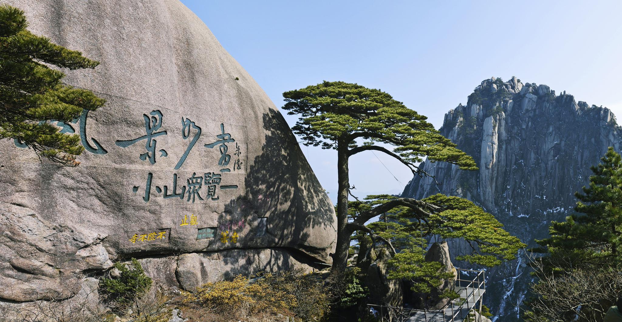 黄山迎客松位于玉屏楼左侧,倚狮石破石而生,高10米,胸径0.