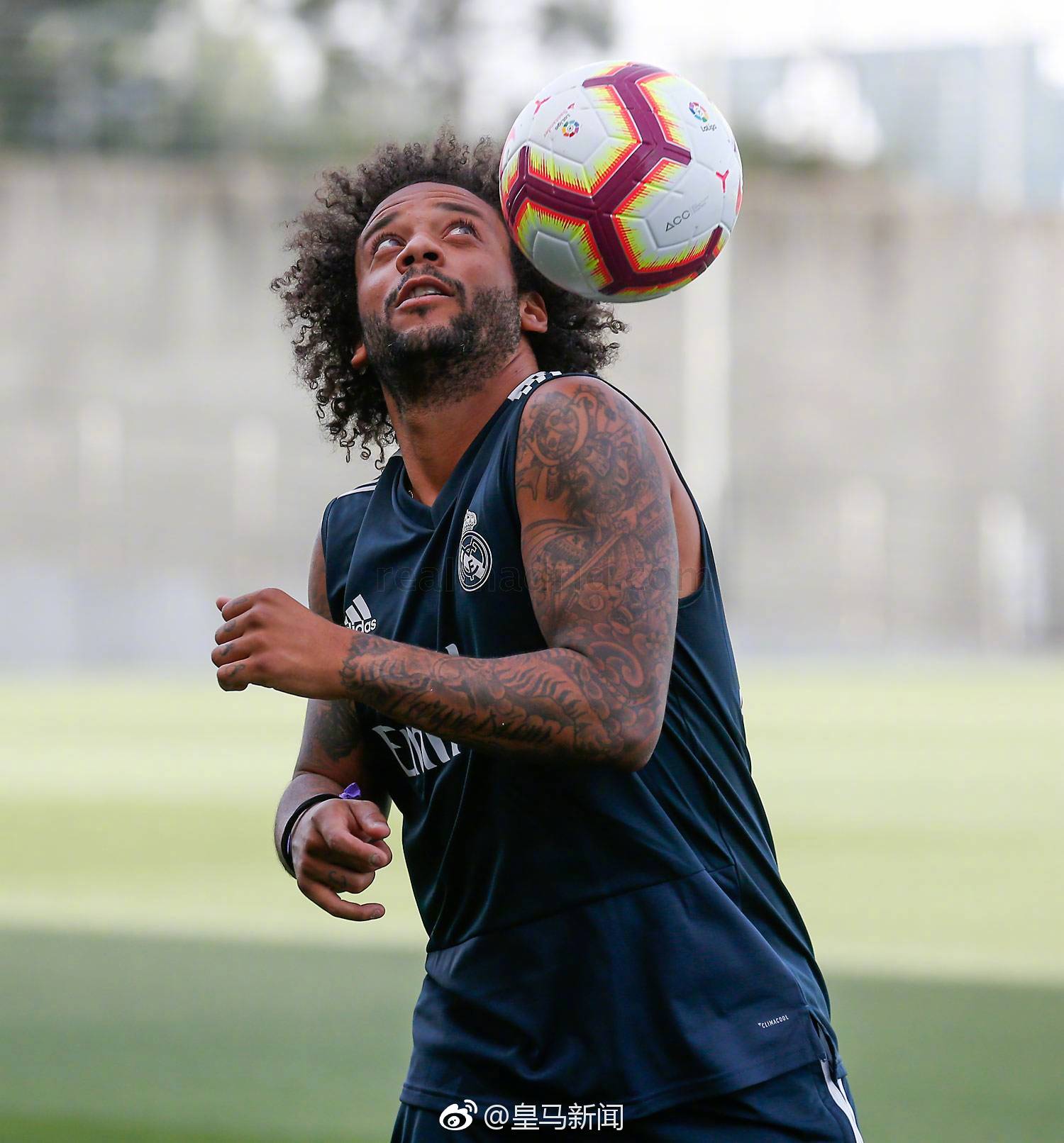 wuli马塞洛也回来了