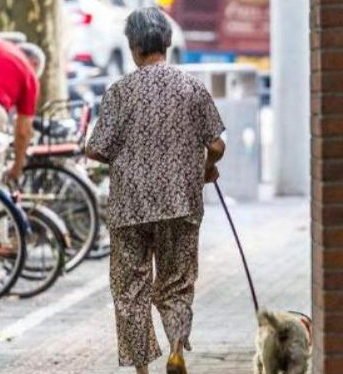 老奶奶上街遛狗,天上掉下来一个钱包,打开后直接回家报警!