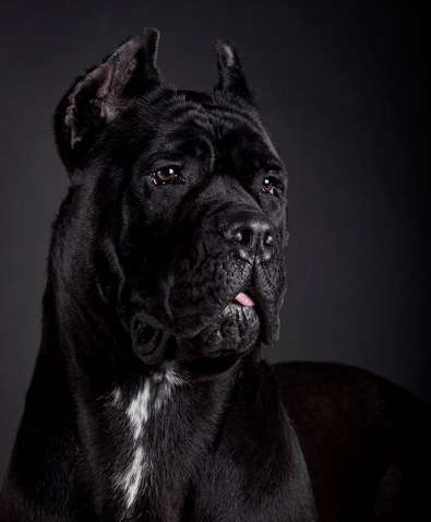 黑色卡斯罗, 幽灵一般的存在