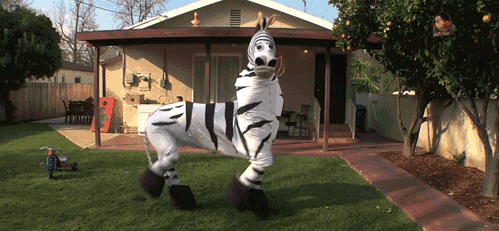 时装周|豹纹|斑马纹_新浪新闻