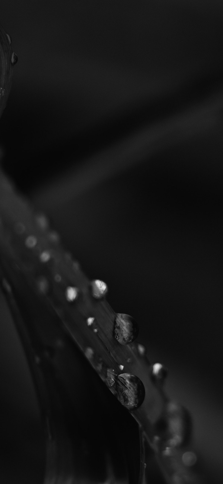 十五张很有味道的高清图,拿去用在iphone xs max上当壁纸吧