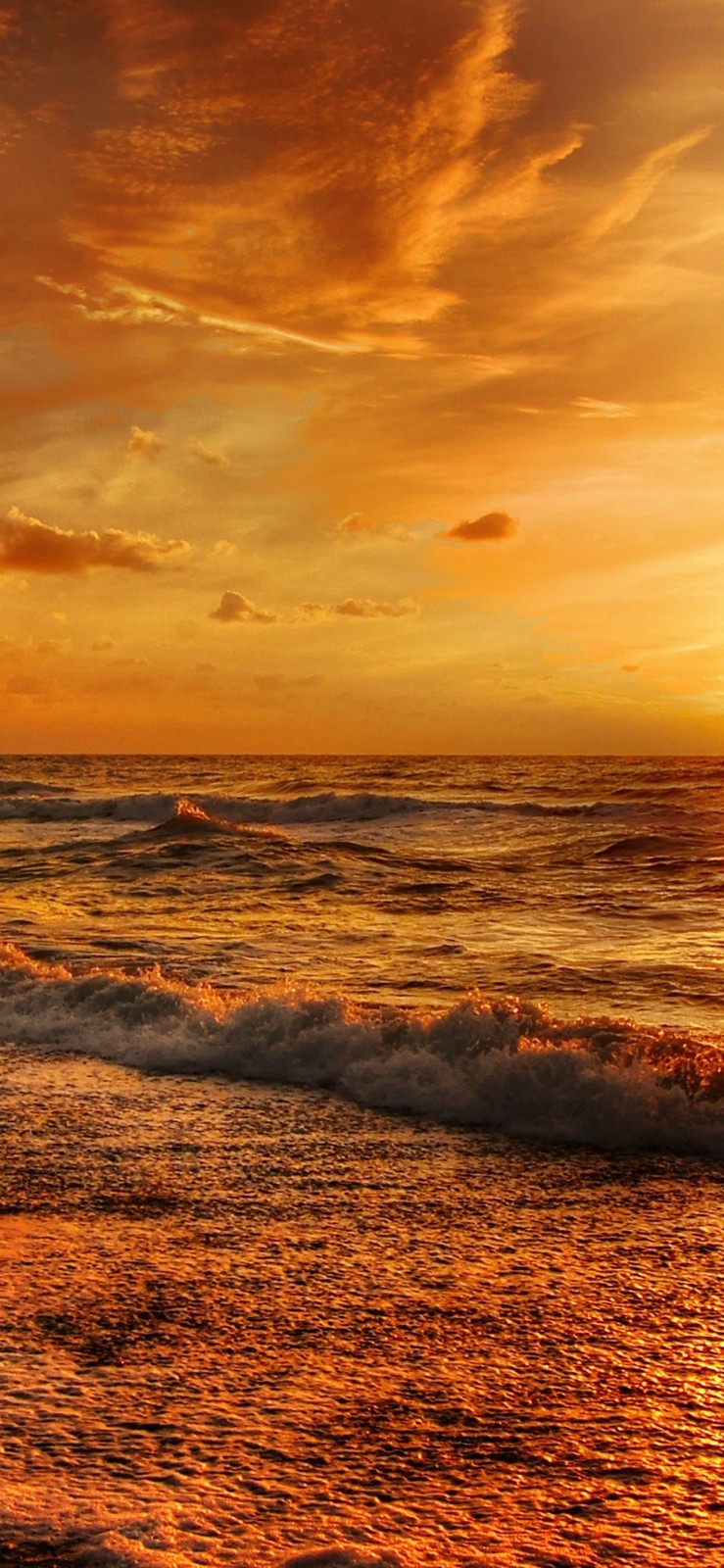 十五张很有味道的高清图,拿去用在iphone xs max上当壁纸吧