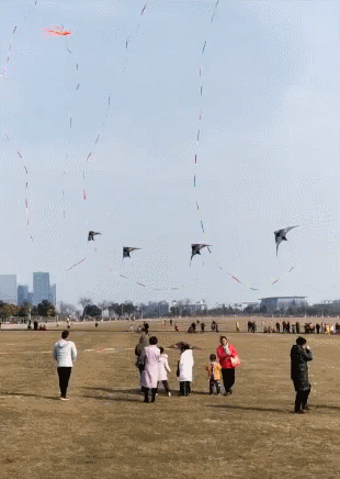 不一样的风筝吗,这可能是四个有自己思想的风筝.