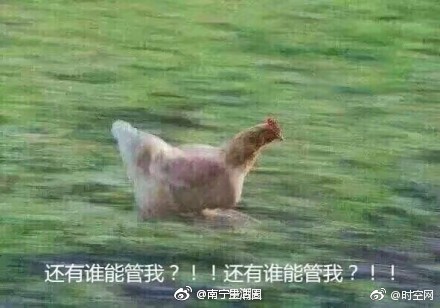 上课98天放假49天!南宁市中小学校历新鲜出炉