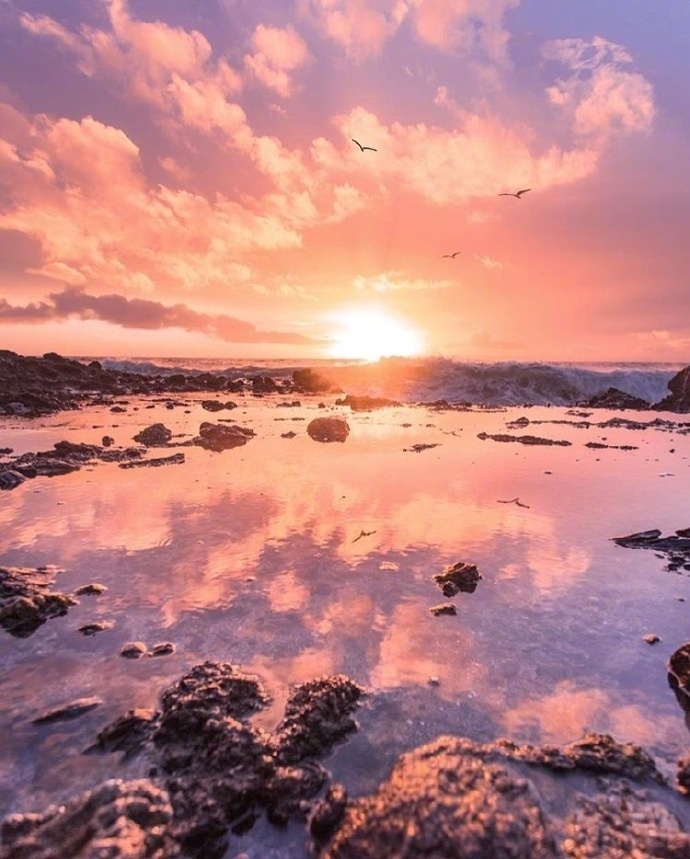 固原哪个小区有粉灯