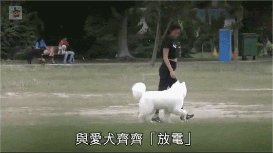 乐基儿怀孕3个月孕肚照首度曝光隆起明显 伸懒