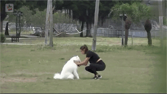 乐基儿怀孕3个月孕肚照首度曝光隆起明显 伸懒