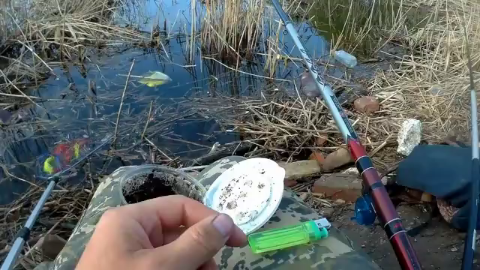 钓鱼:蚯蚓抹上清凉油,野钓鲫鱼