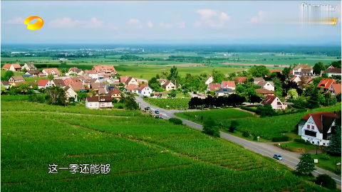 法国人的生活真让人向往,睡个懒觉伸个懒腰,慢