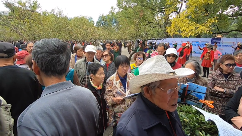 昆明翠湖公园实拍:一大群老年人在此唱歌跳舞,比赶集都热闹