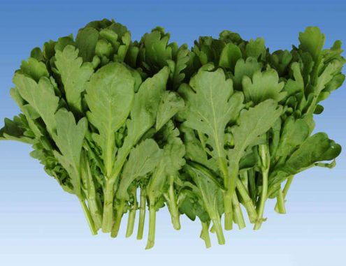 茼蒿的好处这么多,怪不得是皇帝菜,那么你知道最营养的吃法吗?