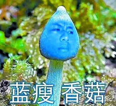 暴露年龄系列:哪些当年超红的网络流行语现在却觉得low到爆