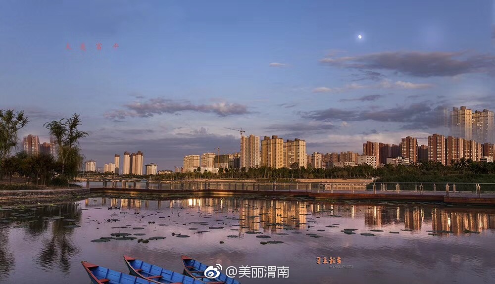 美丽渭南我的家|富平|王立|湿地公园_新浪新闻