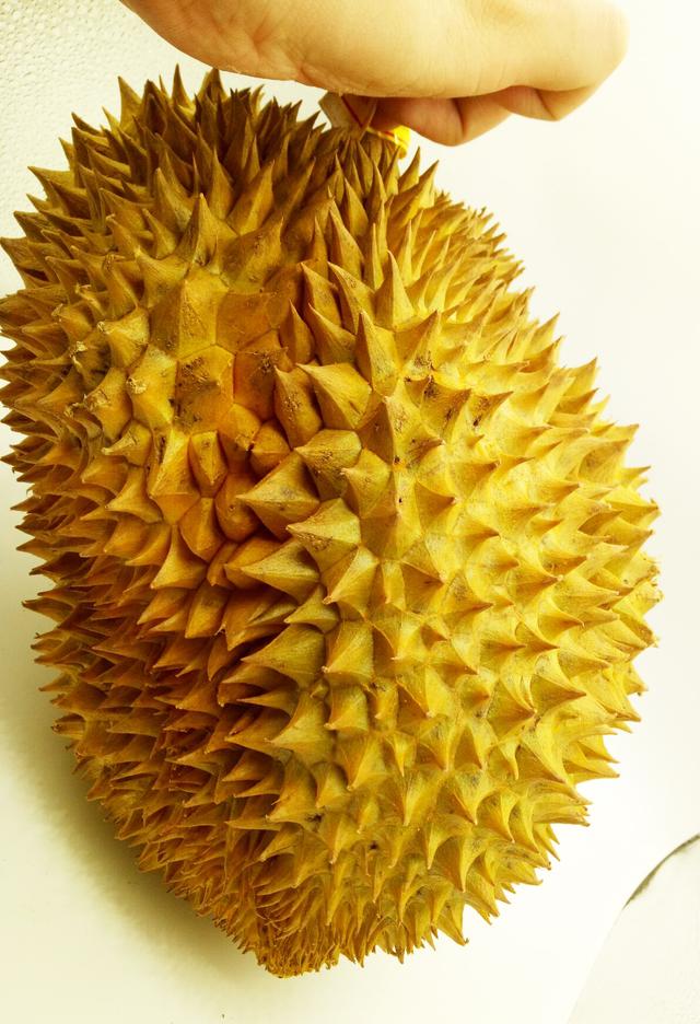 买榴莲,如果你不掌握这几点 ! 那你就不知道要被坑多少钱了?