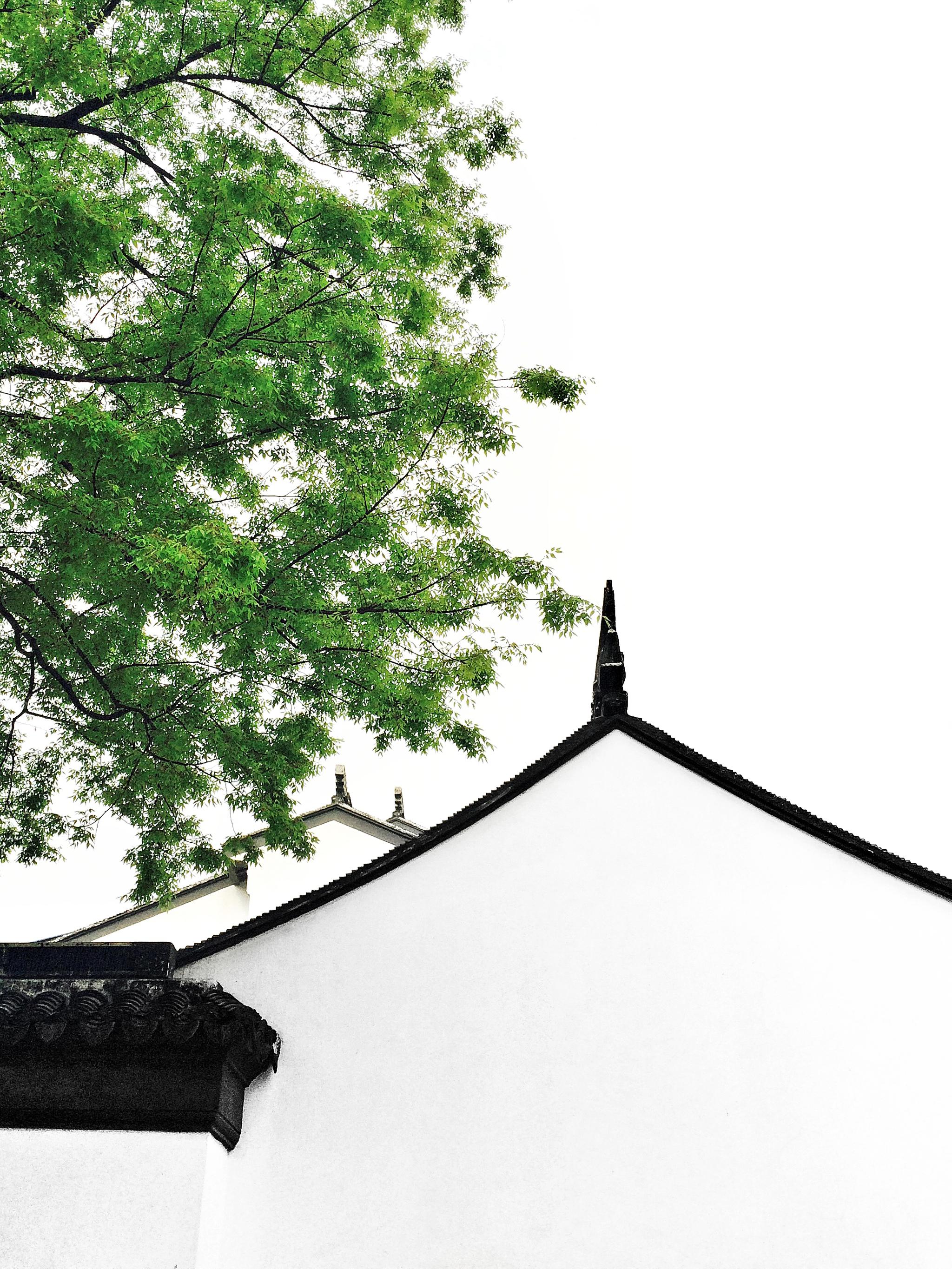 江南的园林装饰,就像是中国画里的留白,淡雅脱俗