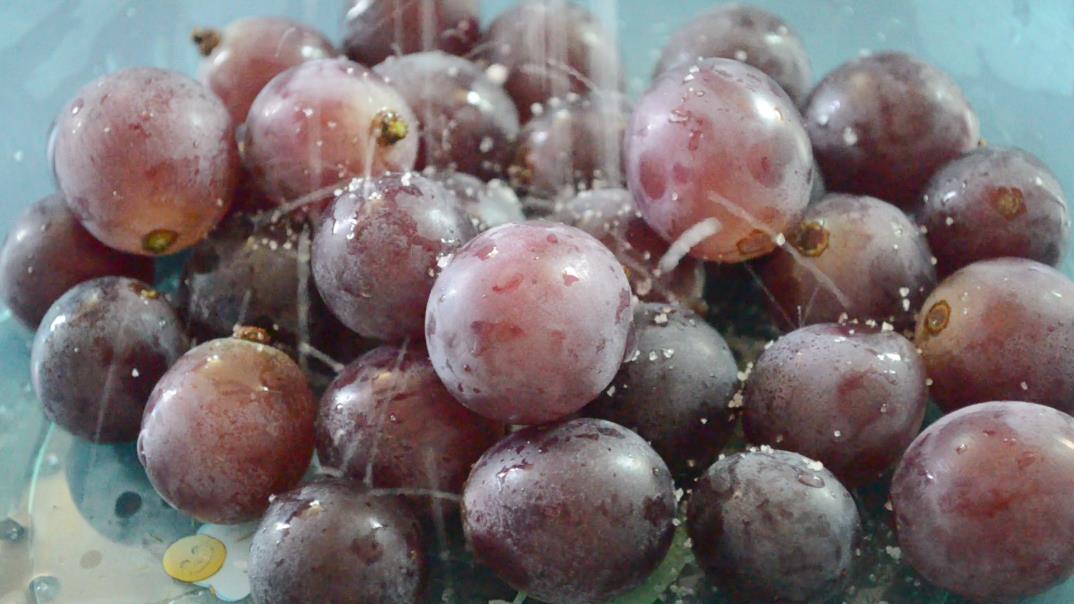 吃葡萄衣服弄脏了怎么洗 吃葡萄时汁弄到衣服上咋办