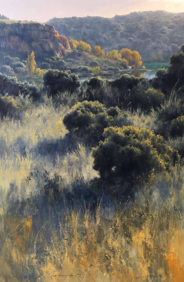 光影视觉感受:西班牙艺术家费尔明的油画作品