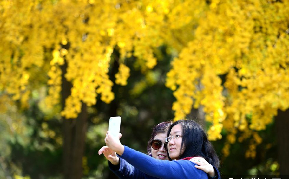 2016年11月15日,江苏南京,大学生在南京大学鼓楼校区拍照留念.