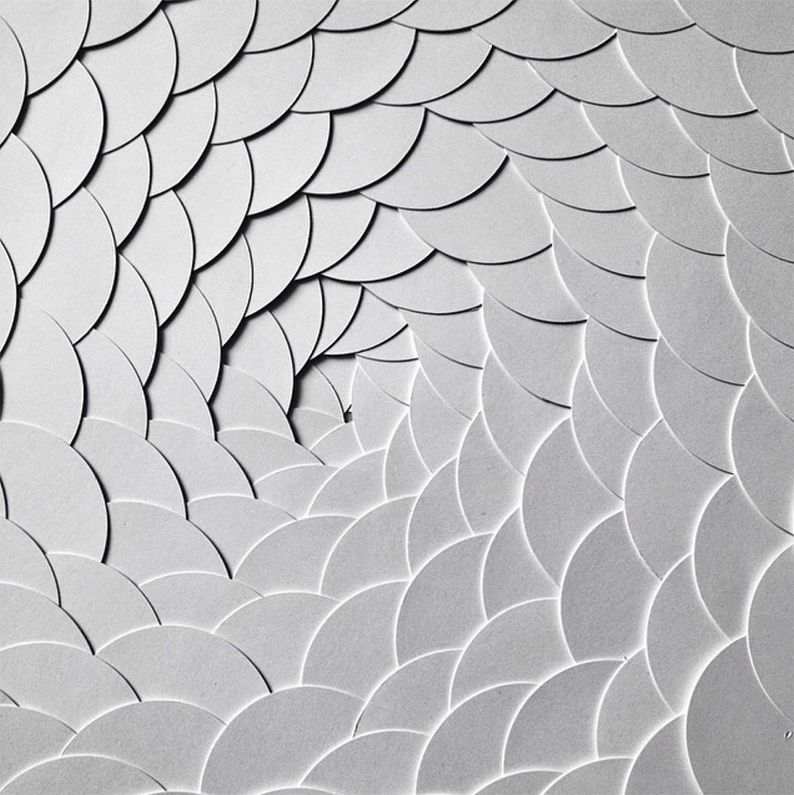 佳作欣赏光影塑造出来的奇妙纸张世界