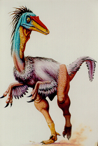 号称恐龙界最聪明的"伤齿龙"也许并不存在!