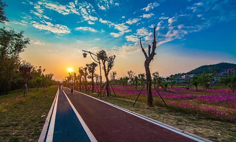 上杭汀江绿道:一道靓丽的风景线,游玩休闲好去处