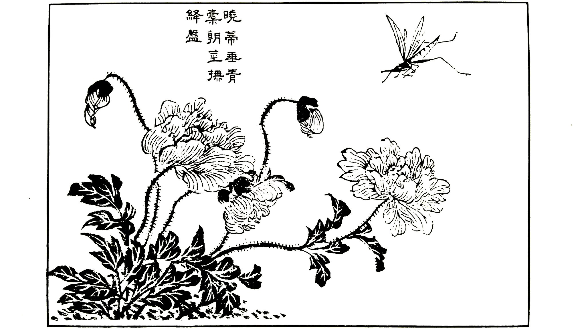 包含花卉谱的词条 包罗
花草
谱的词条（包罗花草谱的词条是什么） 花卉