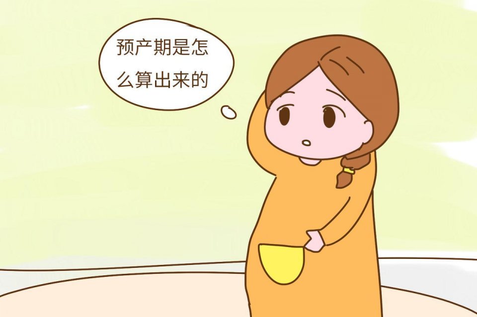 什么时候才能知道预产期 2aea-hhzsnec5295627.jpg