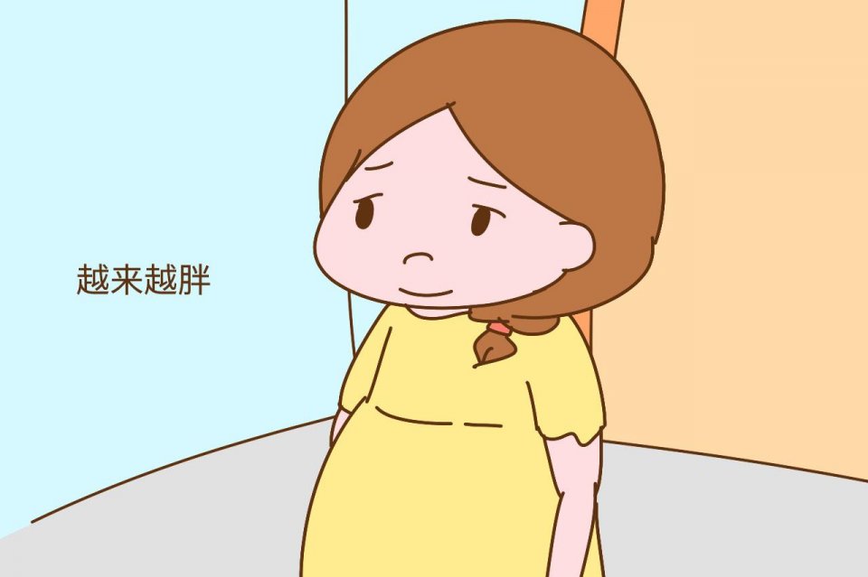 9f79-hikxxnc0937561.jpg