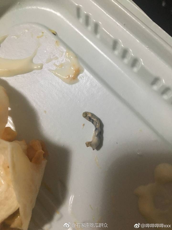 差点吐了肯德基龙虾卷吃出大青虫