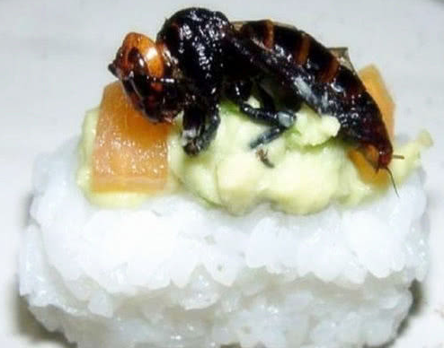 日本寿司界的奇葩昆虫寿司,酥脆爽口,我认怂你敢吃吗|寿司|昆虫|虫子