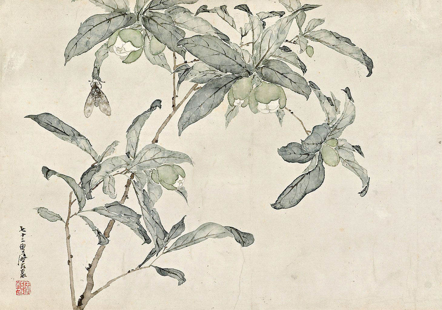 居廉 · 花鸟欣赏 … 更多关注|居廉|花鸟|书画_新浪新闻