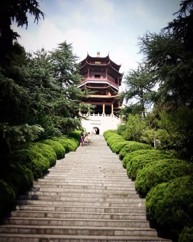 所有人,去南京请带上我!