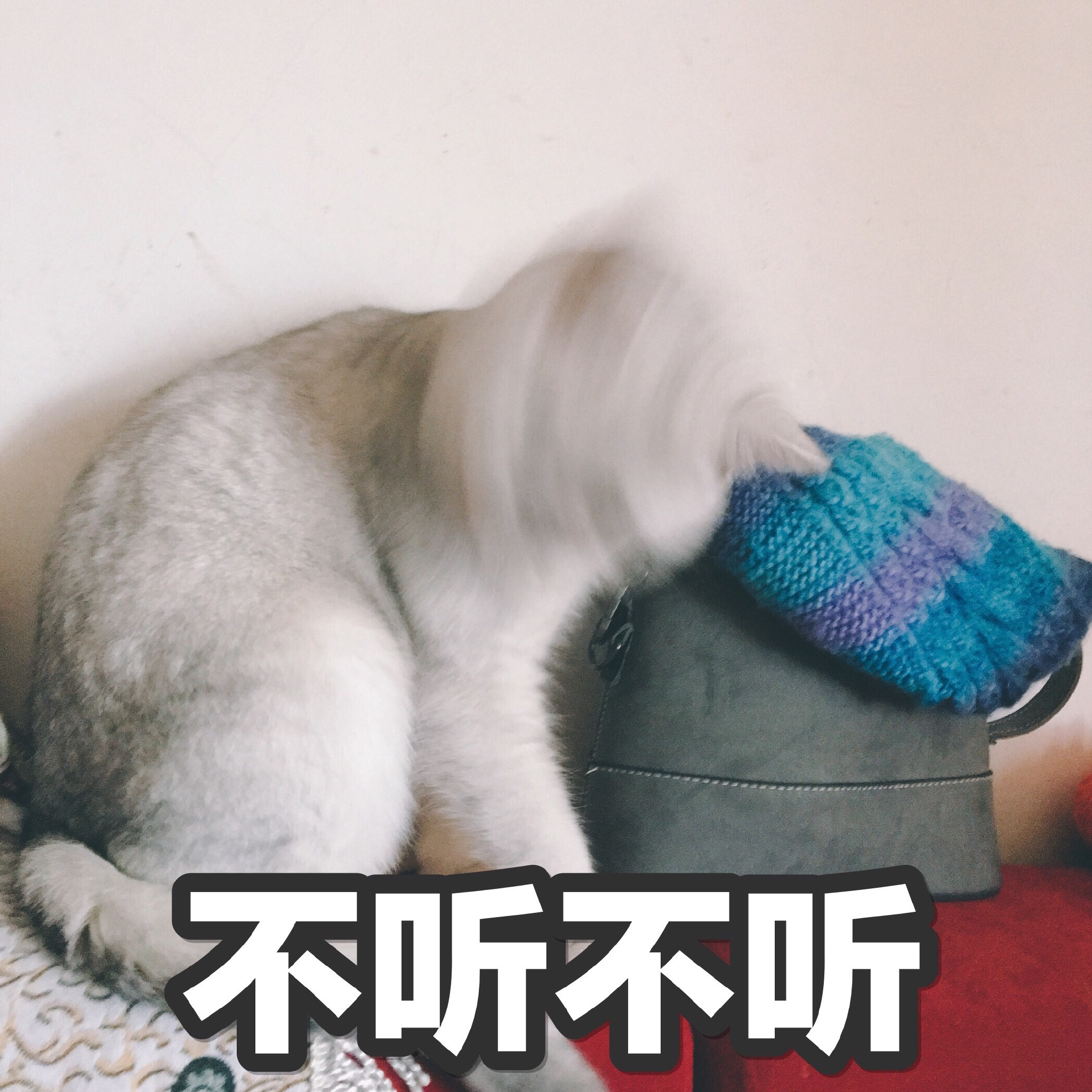 闭嘴二狗子不听系列