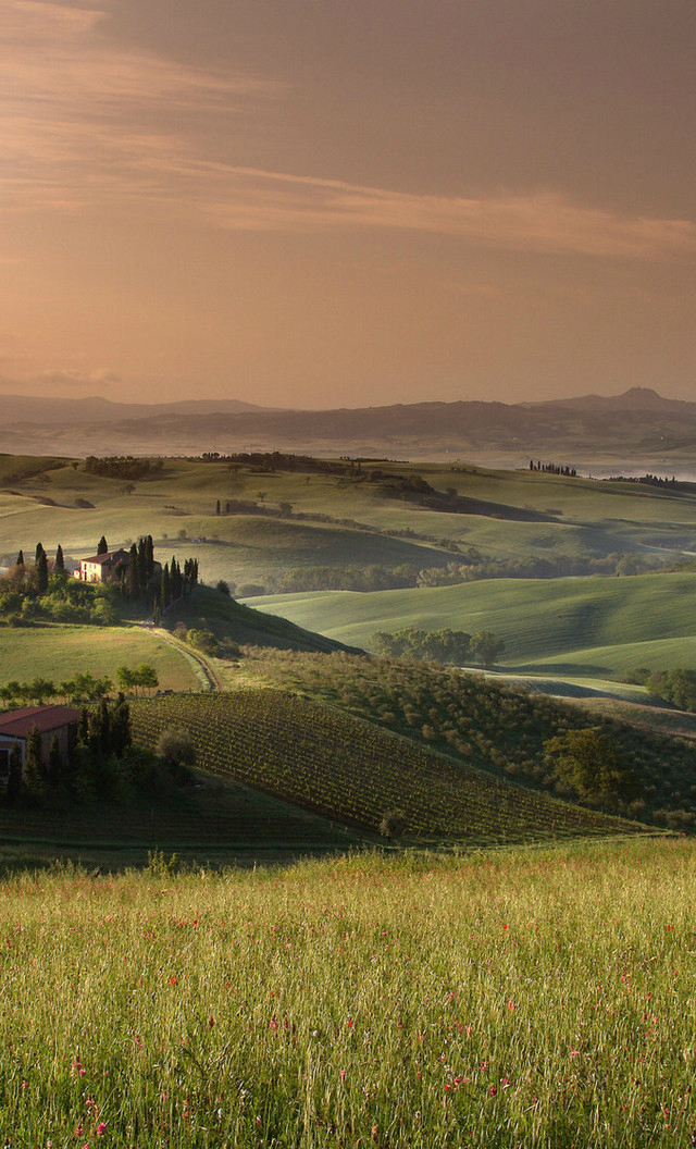辽阔旷野草原高清手机壁纸手机控们用来当手机桌面简直太唯美
