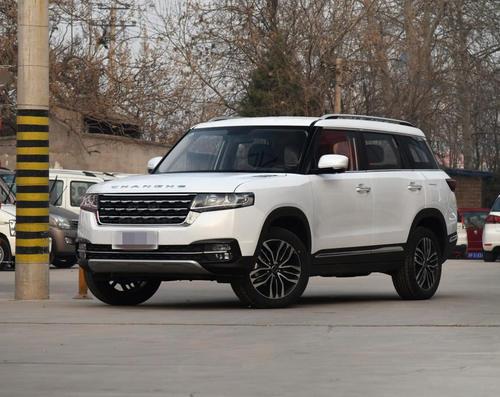 国产q7正式上市!造型不输路虎揽胜,售8.79万起你会买账吗?