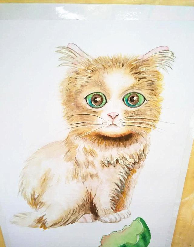 天太热这只猫都吃上了西瓜了看过就全会画了