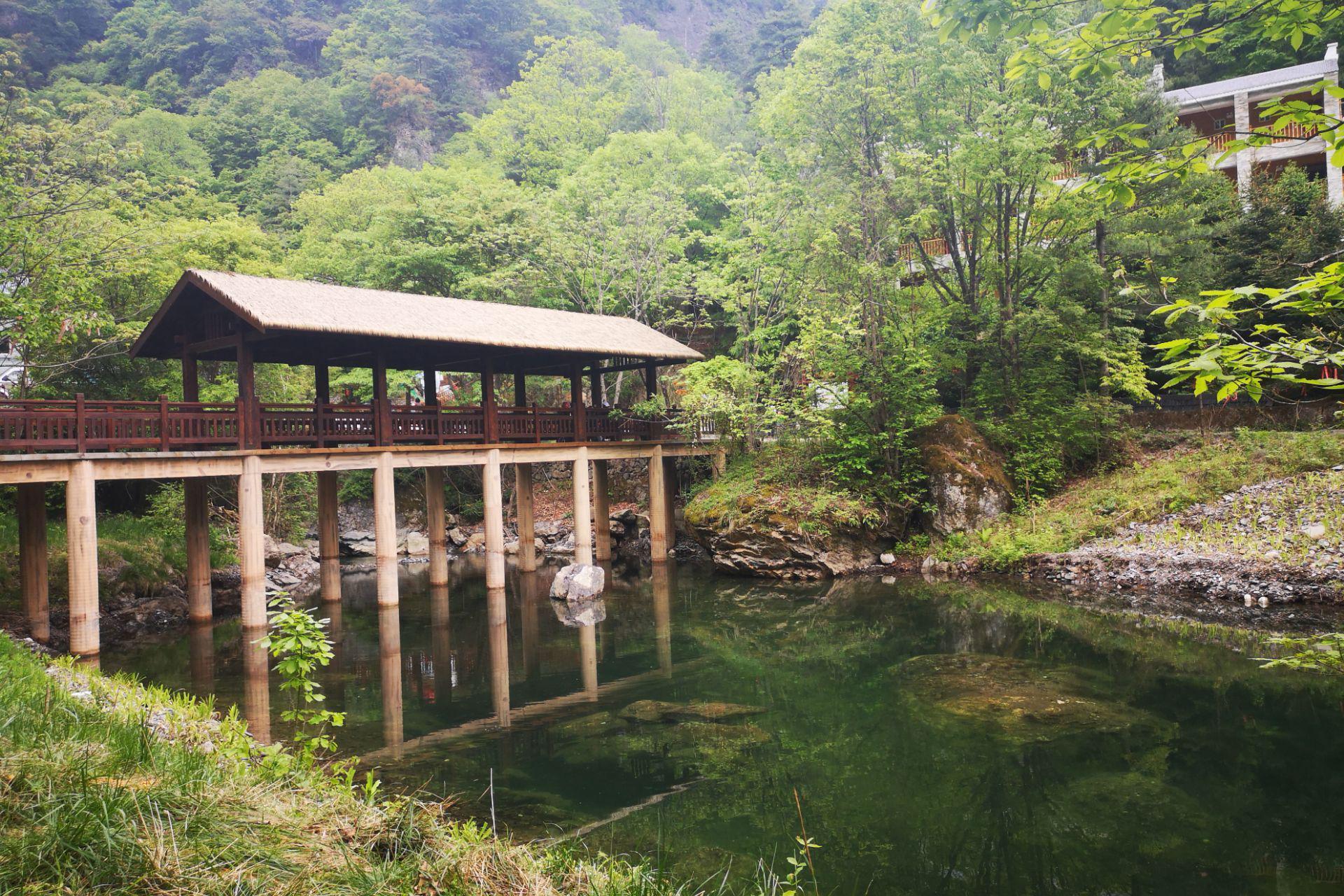 陕西省 汉中市 五龙洞国家森林公园