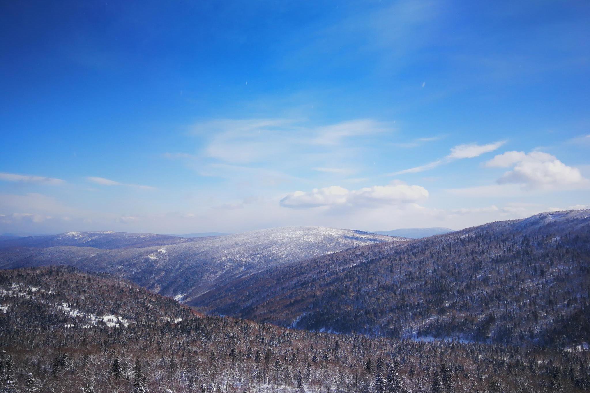 黑龙江省 哈尔滨 五常市 凤凰山国家森林公园 雪景
