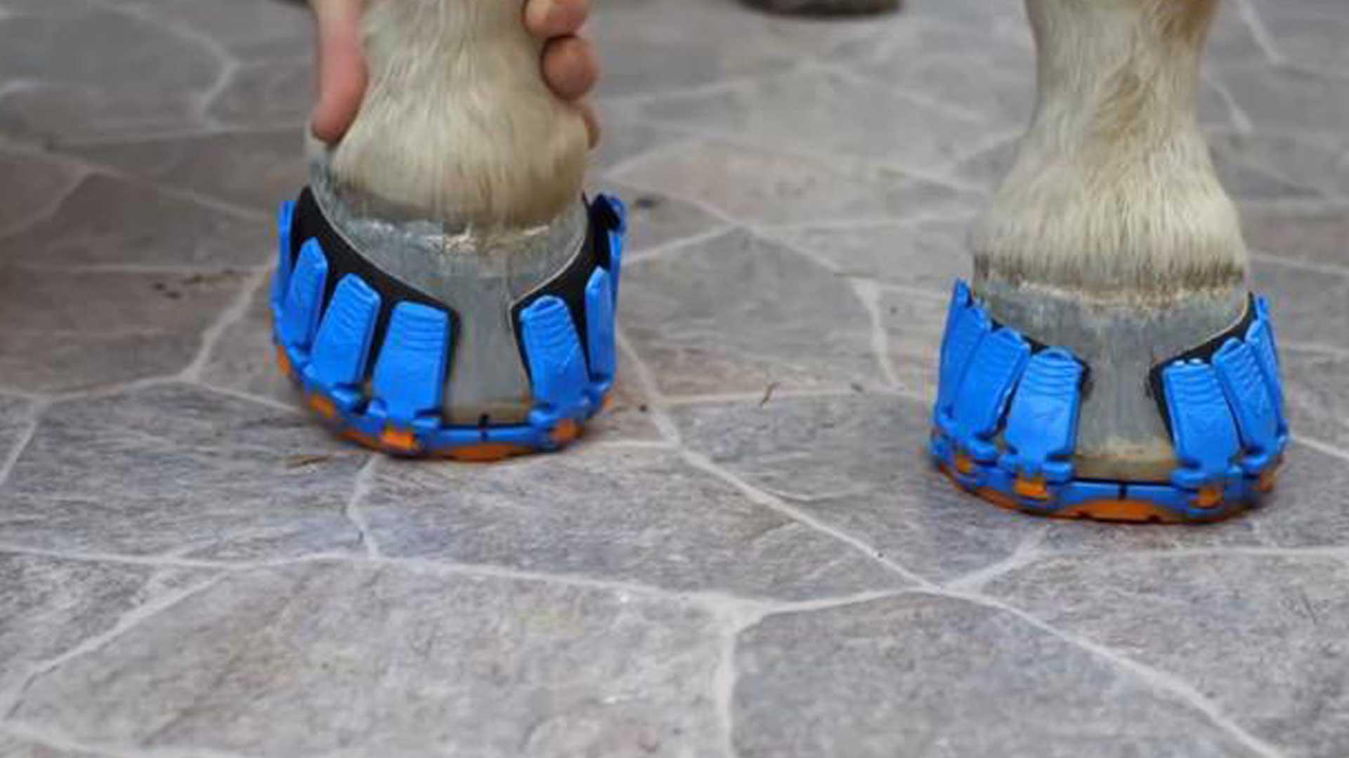 比马蹄铁更安全可靠,国外发明专门给马穿的鞋子,还有减震的作用