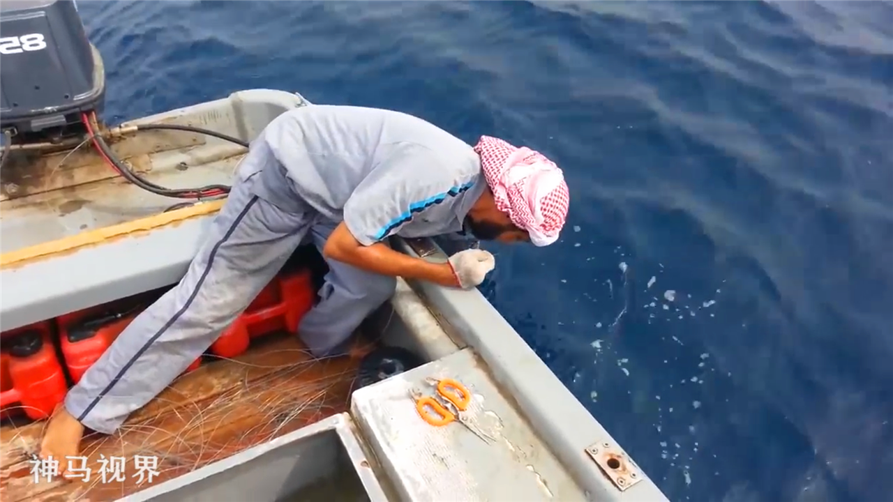海钓:在深海放下沉底钓,收线时好费力