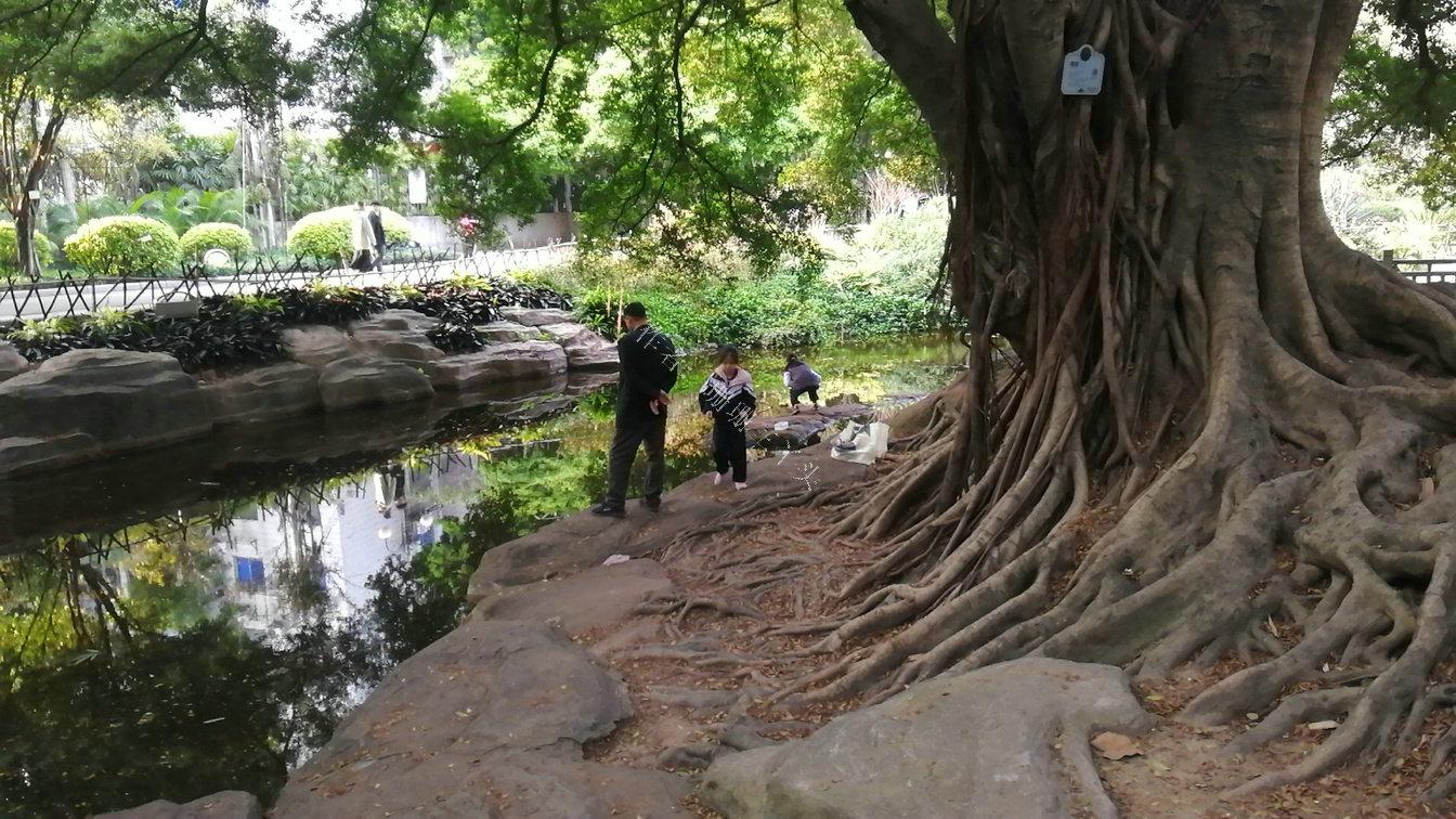 30秒看广州石马岗的沧海遗礁