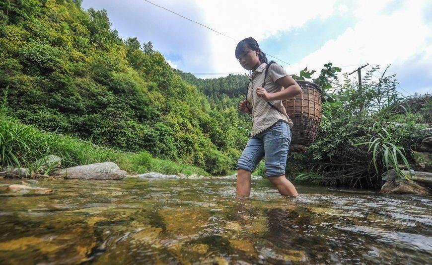 山村九零后女孩, 荒山与父采药相依为命, "狠心"父亲别有用心