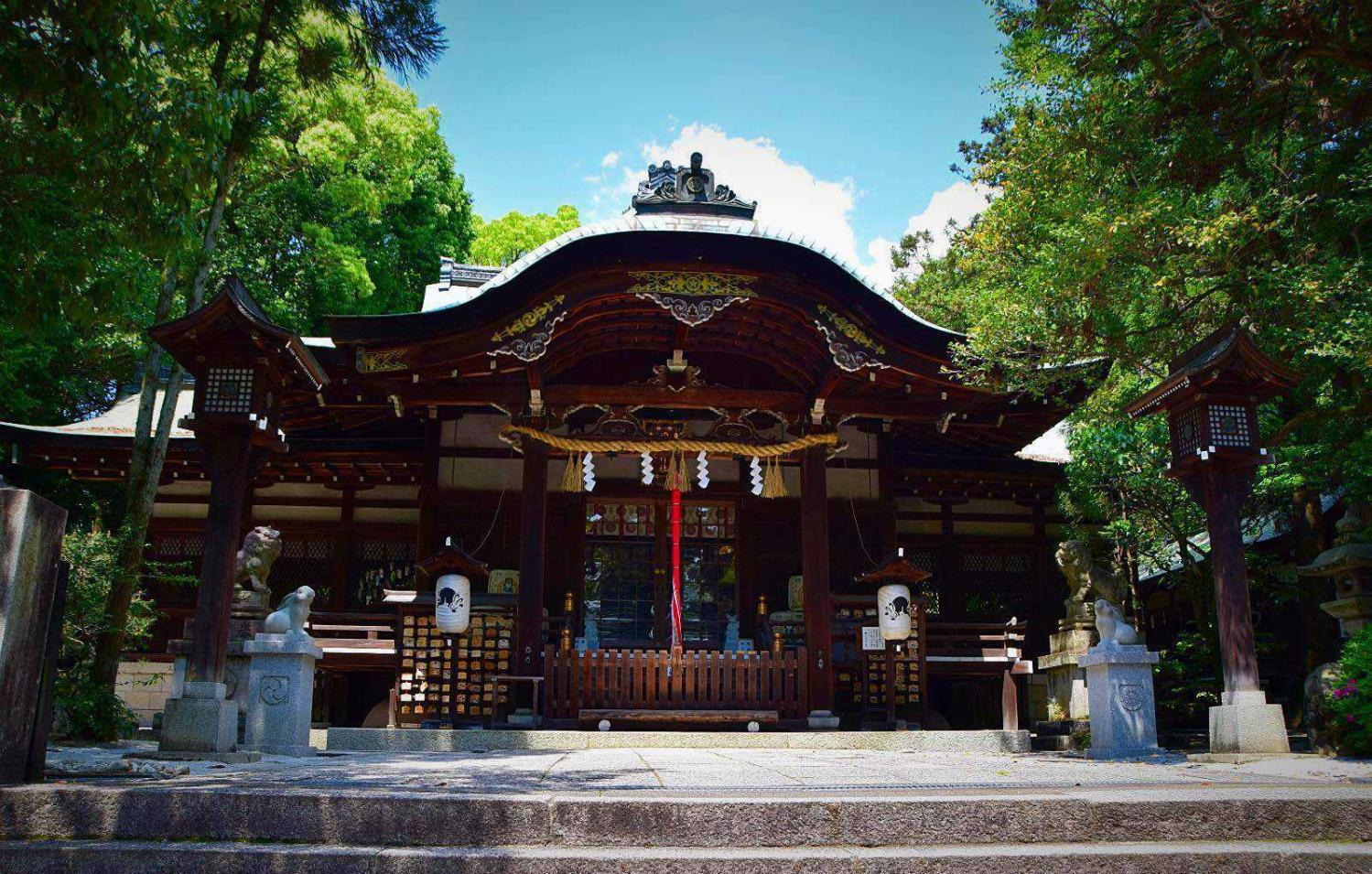 冈崎神社, 一个炒鸡可爱的兔子神社, 里面充满了许多的兔子