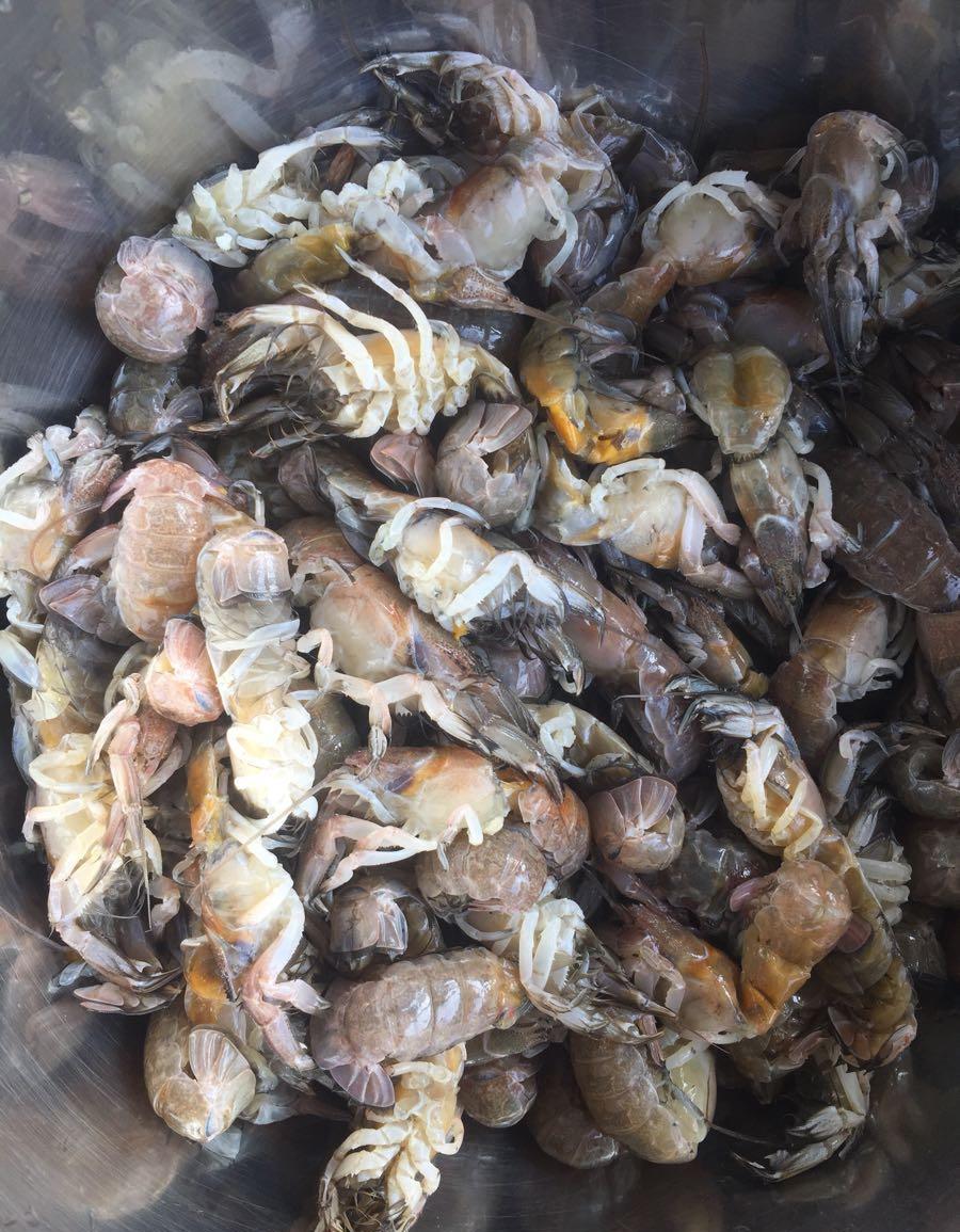 炒了一盘麻辣蝼蛄虾给老公下酒, 老公和他朋友一直夸我厉害