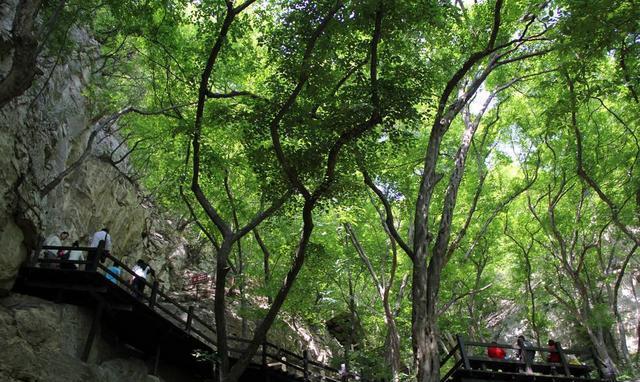 皖北有几个城市? 有什么好玩的地方?|皖北|景点|宿州_新浪新闻